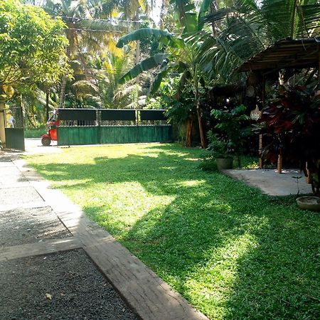 Steur Villa Negombo Zewnętrze zdjęcie