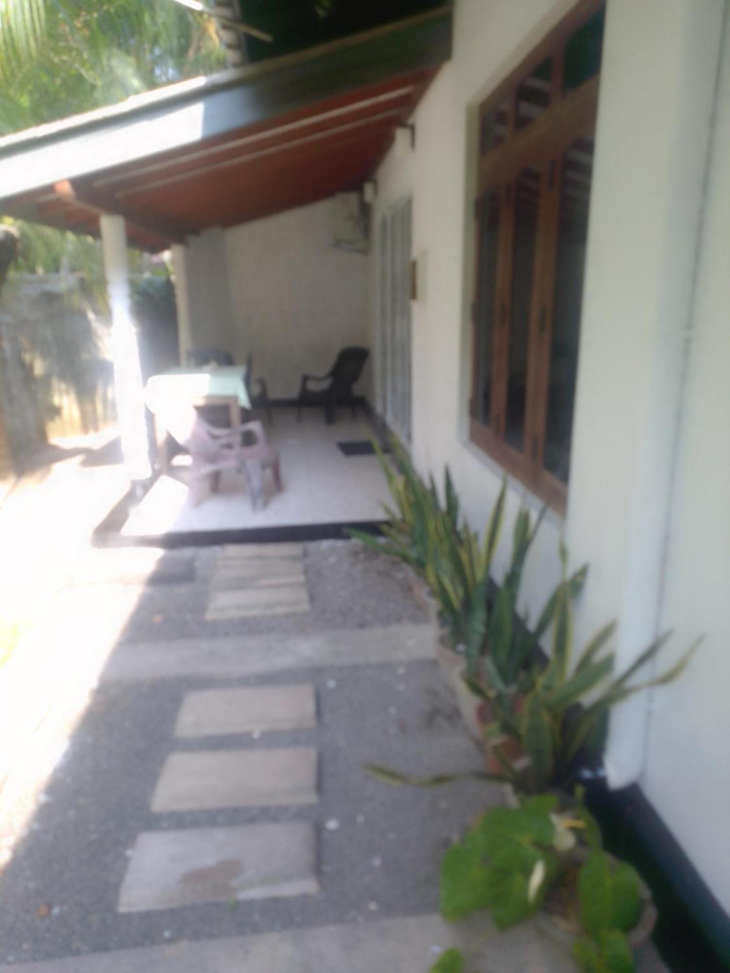 Steur Villa Negombo Zewnętrze zdjęcie