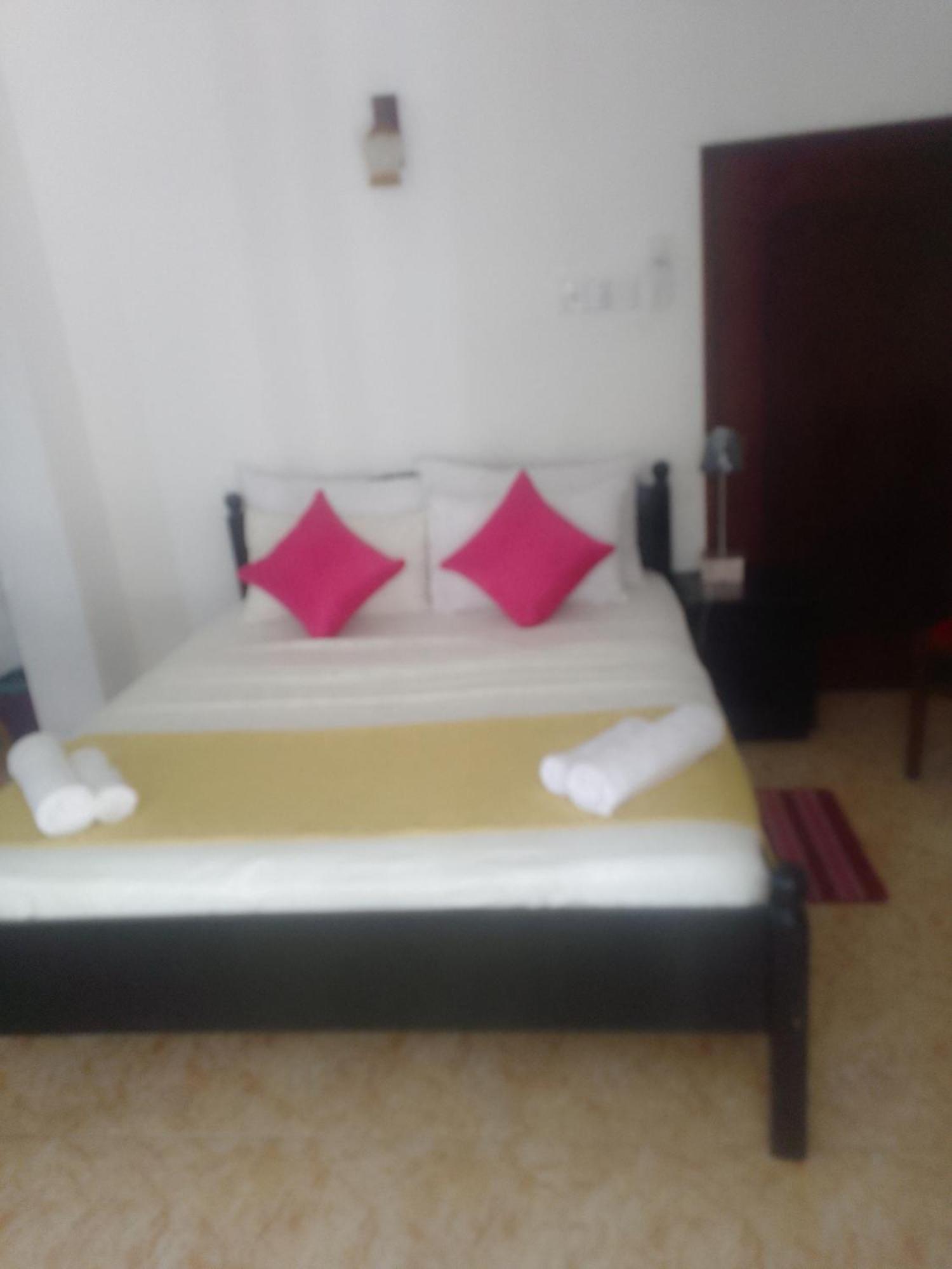 Steur Villa Negombo Zewnętrze zdjęcie